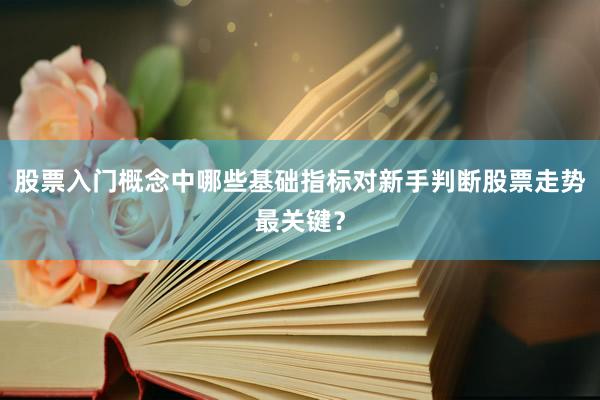 股票入门概念中哪些基础指标对新手判断股票走势最关键？