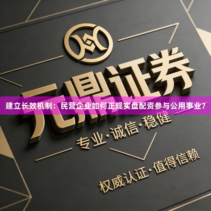 建立长效机制：民营企业如何正规实盘配资参与公用事业？
