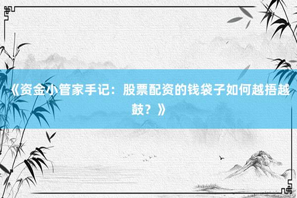 《资金小管家手记：股票配资的钱袋子如何越捂越鼓？》