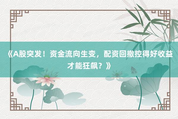 《A股突发！资金流向生变，配资回撤控得好收益才能狂飙？》