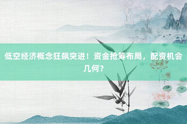 低空经济概念狂飙突进！资金抢筹布局，配资机会几何？