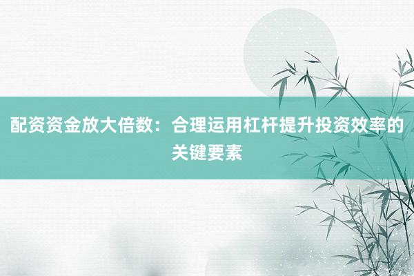 配资资金放大倍数：合理运用杠杆提升投资效率的关键要素
