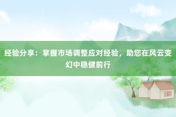 经验分享：掌握市场调整应对经验，助您在风云变幻中稳健前行