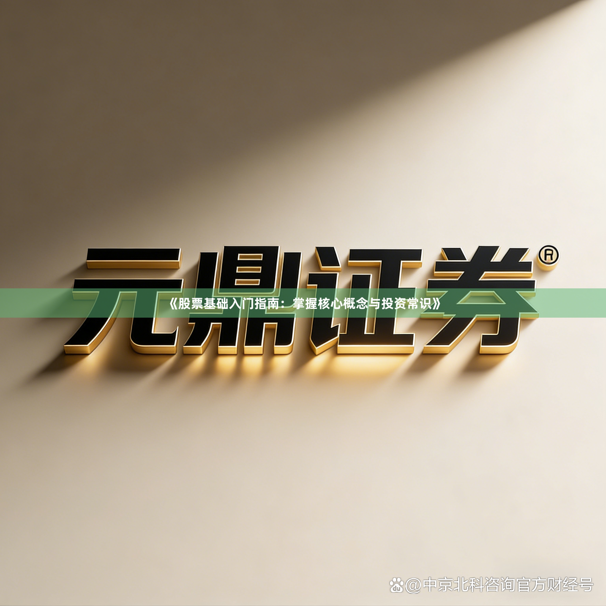 《股票基础入门指南：掌握核心概念与投资常识》