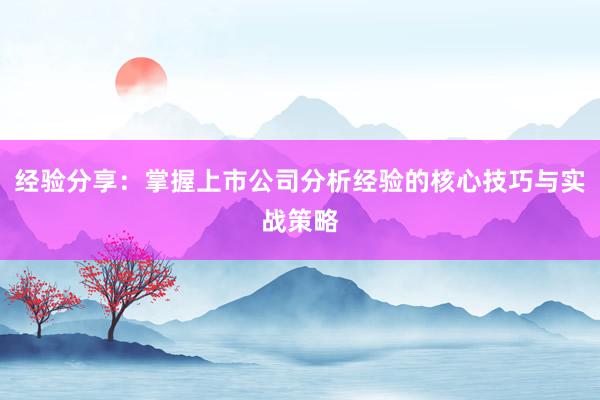 经验分享：掌握上市公司分析经验的核心技巧与实战策略