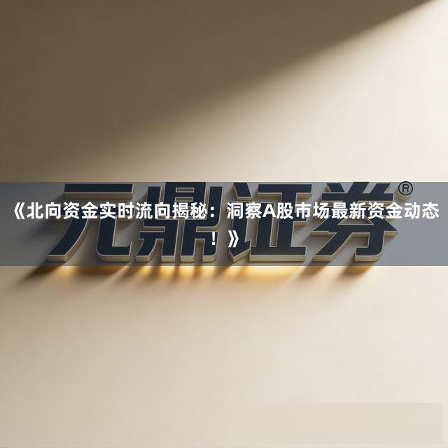 《北向资金实时流向揭秘：洞察A股市场最新资金动态！》