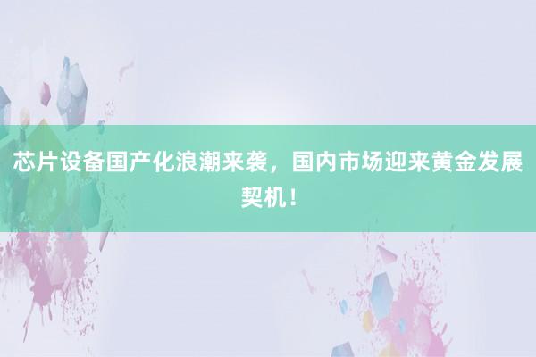 芯片设备国产化浪潮来袭，国内市场迎来黄金发展契机！