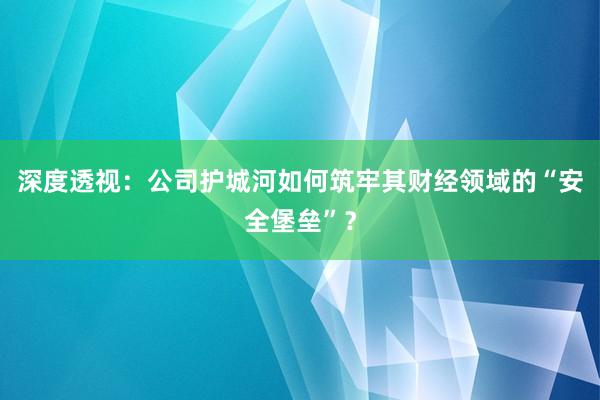 深度透视：公司护城河如何筑牢其财经领域的“安全堡垒”？