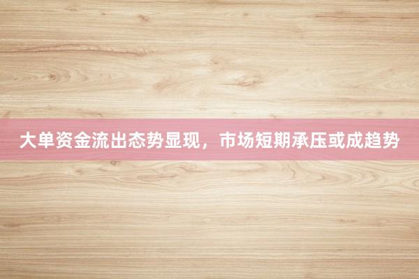 大单资金流出态势显现，市场短期承压或成趋势