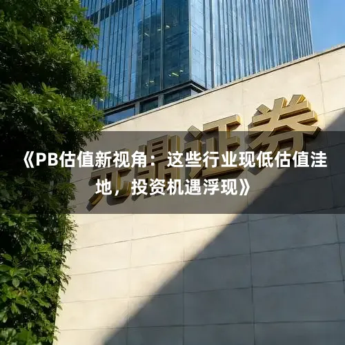 《PB估值新视角：这些行业现低估值洼地，投资机遇浮现》
