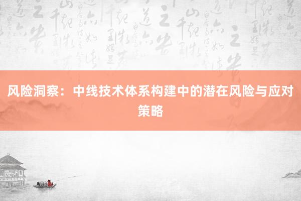 风险洞察：中线技术体系构建中的潜在风险与应对策略