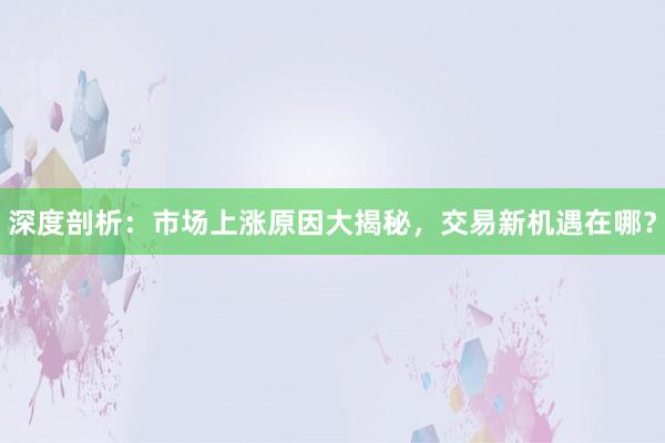 深度剖析：市场上涨原因大揭秘，交易新机遇在哪？
