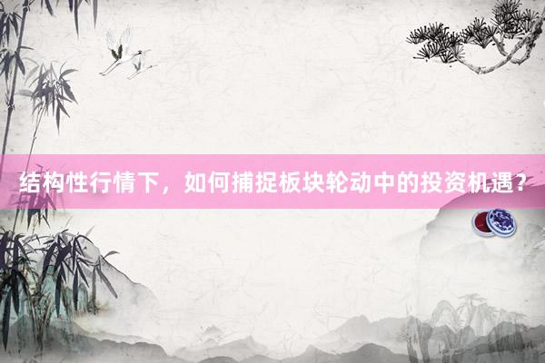 结构性行情下，如何捕捉板块轮动中的投资机遇？