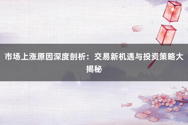 市场上涨原因深度剖析：交易新机遇与投资策略大揭秘